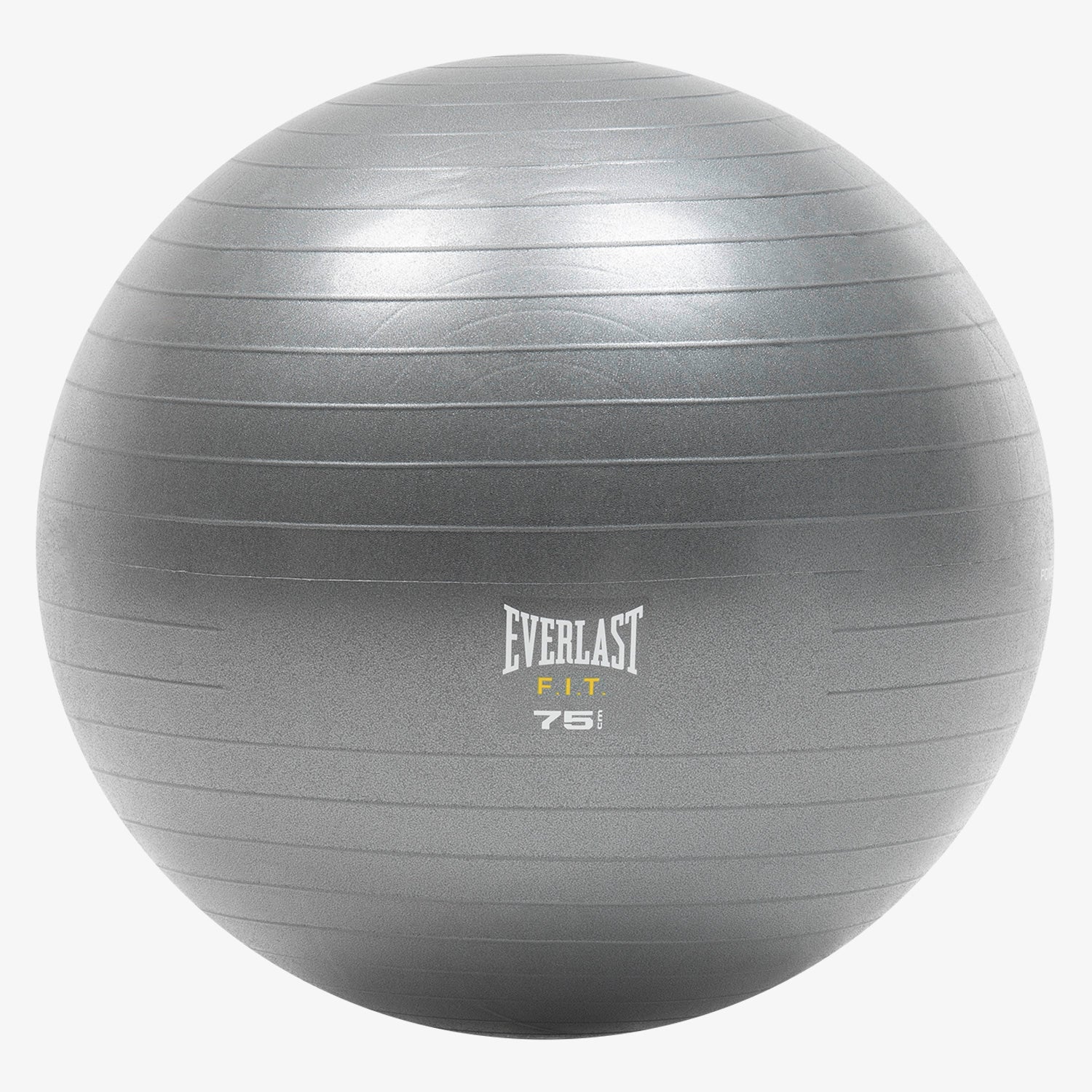 Balón Pilates Everlast Gris 75 cm